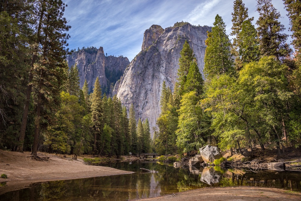 Nature one